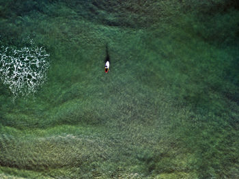 Aerial view of sup surfer ,primorsky region, russia