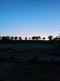 Scenic view of field against clear blue sky