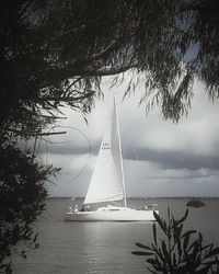 Sailboat by sea against sky