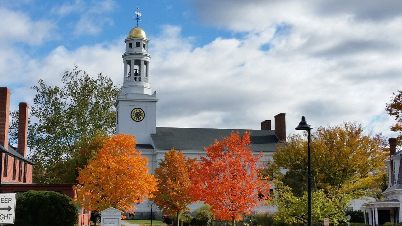 TREES ON CITY DURING AUTUMN