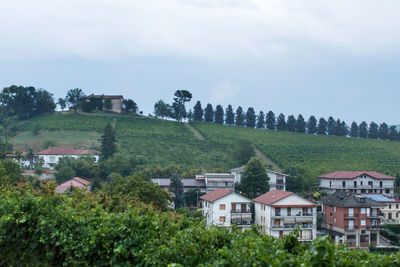 Houses by trees against sky