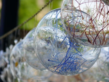 Close-up of water on tree