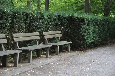 Wooden bench in park