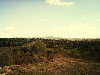 Scenic view of land against sky