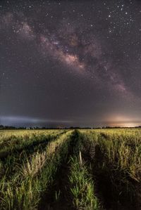 Scenic view of grassy field against sky at night