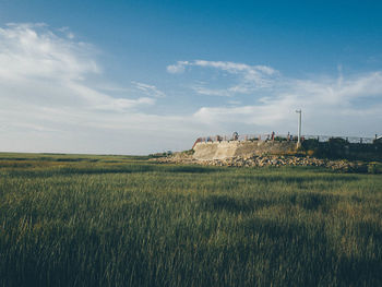 Scenic view of grassy field against sky