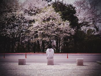Rear view of woman walking in park
