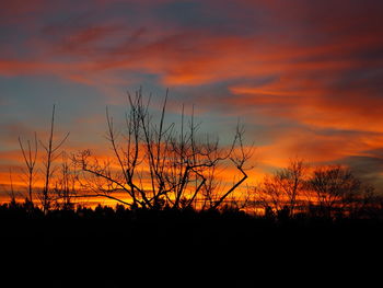 Silhouette bare trees on field against orange cloudy sky