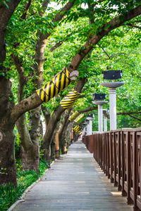 Footpath amidst trees in park
