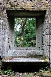 Window of old building