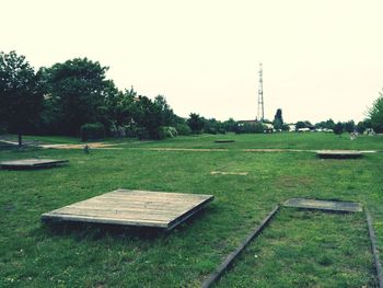 Trees on grassy field in park