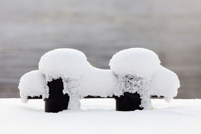 Close-up of snow