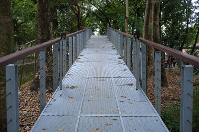 Steel bridge for pedestrian in a public park.