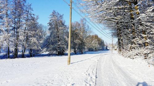 Snow covered road amidst trees against sky during winter