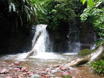 Scenic view of waterfall