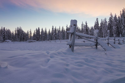 Snow covered field against sky during sunset. winter wonderland in lapland, finland