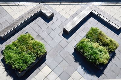 High angle view of benches and plants against building