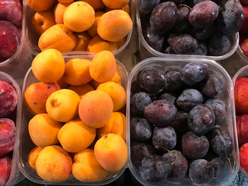 High angle view of fruits for sale at market stall