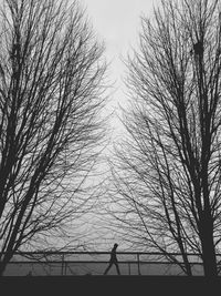 Silhouette bare trees against sky