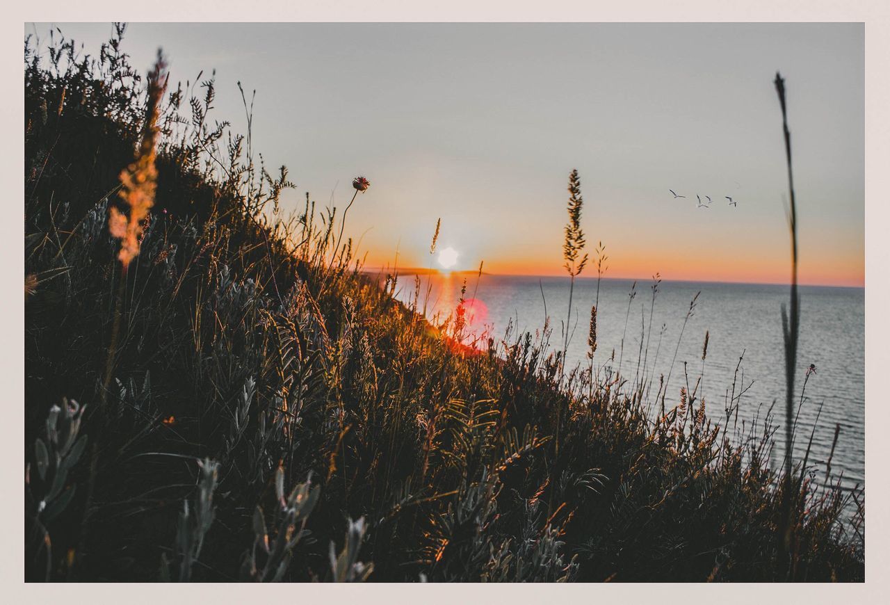 SCENIC VIEW OF SEA AGAINST SKY AT SUNSET