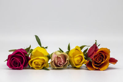 Close-up of rose bouquet against white background