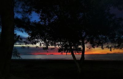 Silhouette trees on beach against sky during sunset