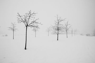 Bare tree on snow covered field against sky