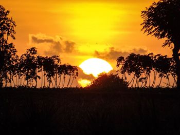 Silhouette trees on field against sky during sunset