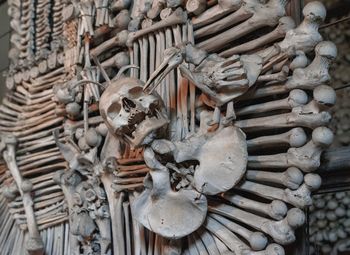 Full frame shot of human skull