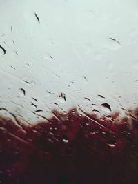 Full frame shot of wet glass window