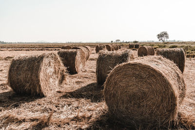 Hay bales on field against clear sky