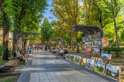 People in park