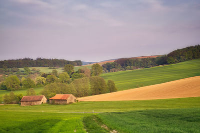 Scenic view of agricultural field against sky