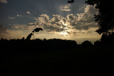 Silhouette of trees on field at sunset