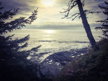 Scenic view of sea at sunset