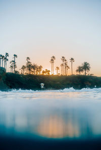 Scenic view of palm trees against clear sky during sunset