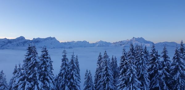 Scenic view of snowcapped mountains against clear blue sky