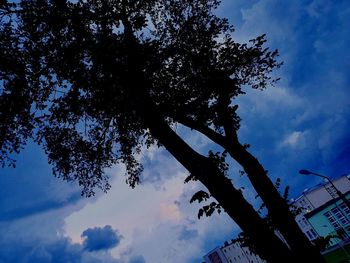 Low angle view of silhouette tree against sky