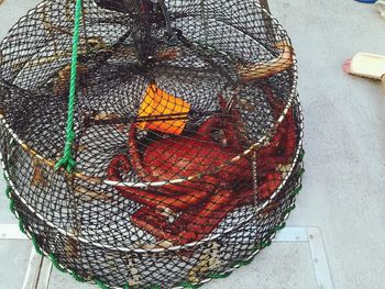 Close-up of fishing net in basket