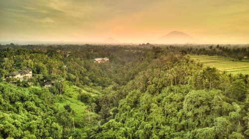 Scenic view of farms against sky during sunset in bali