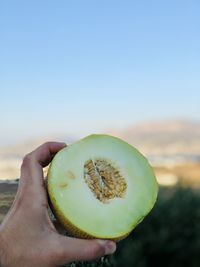 Close-up of hand holding cantaloupe against sky