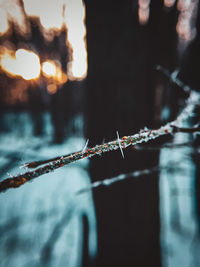 Close-up of frozen water during winter