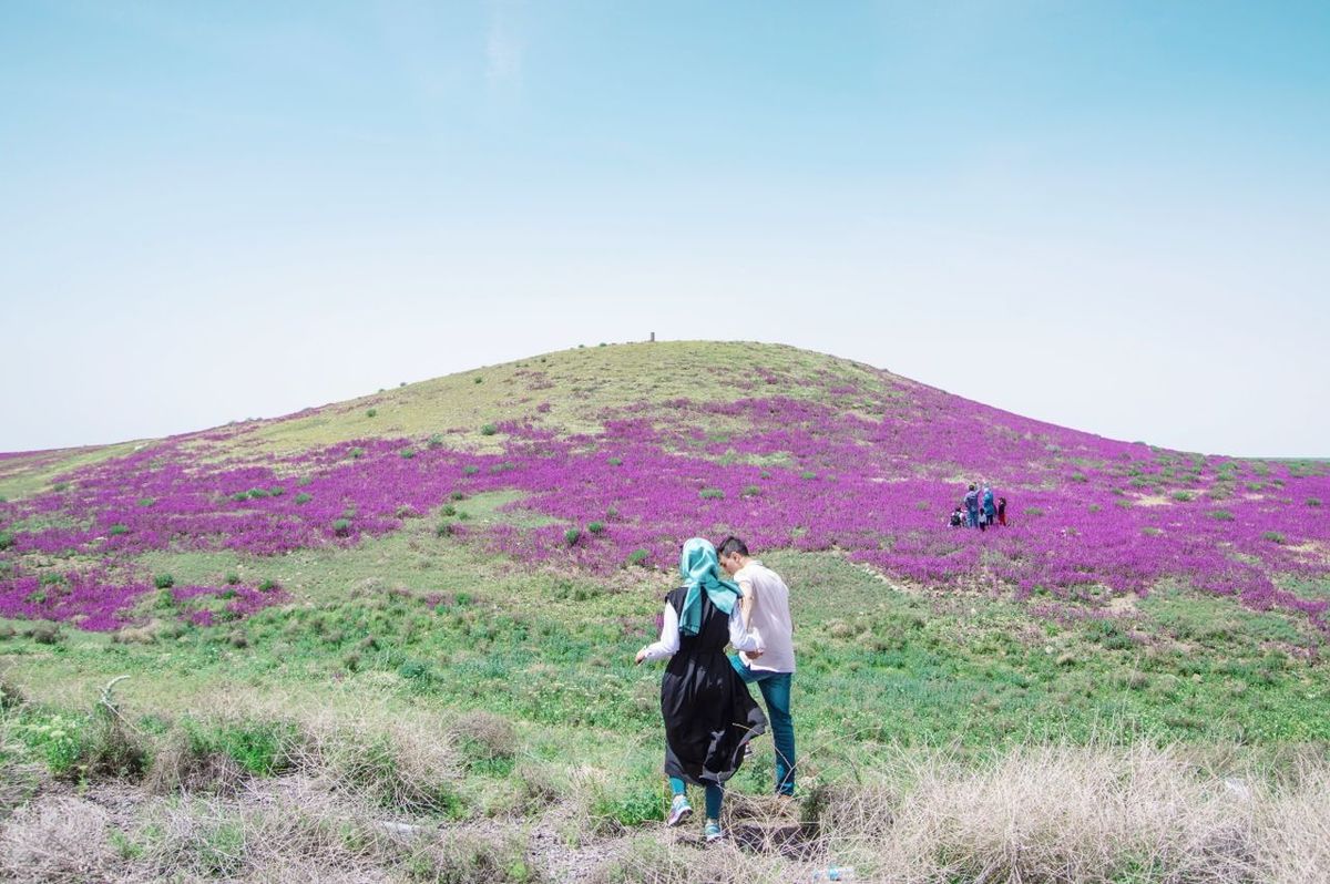 two people, landscape, togetherness, real people, nature, grass, rear view, field, lifestyles, love, clear sky, walking, full length, leisure activity, hiking, scenics, backpack, outdoors, women, adventure, beauty in nature, men, bonding, day, standing, mountain, sky, friendship, adult, people