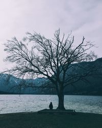 Silhouette man sitting on tree by sea against sky during winter