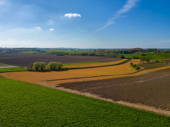 Scenic view of agricultural field against sky