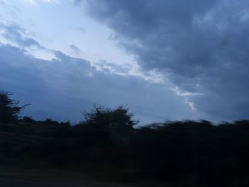 Low angle view of silhouette trees against sky