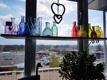 Plants seen through glass window of store