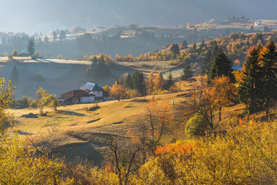 Autumn landscape. misty sunrise in rodopi, bulgaria.