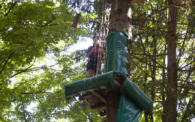 Low angle view of man hanging on tree in forest