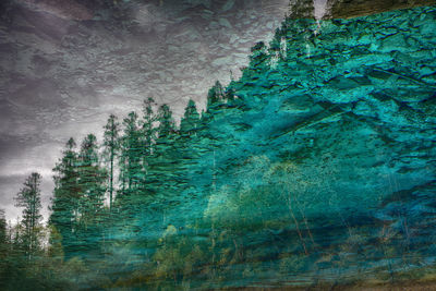 Abstract image of tree on mountain